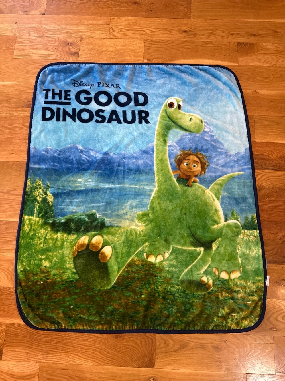 Disney Pixar The Good Dinosaur Arlo & Spot Character Blanket